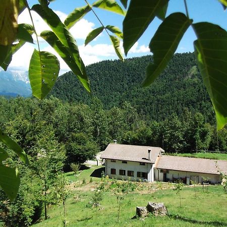 Bosco Delle Rune ..Un Angolo Di Paradiso Platischis Exterior foto